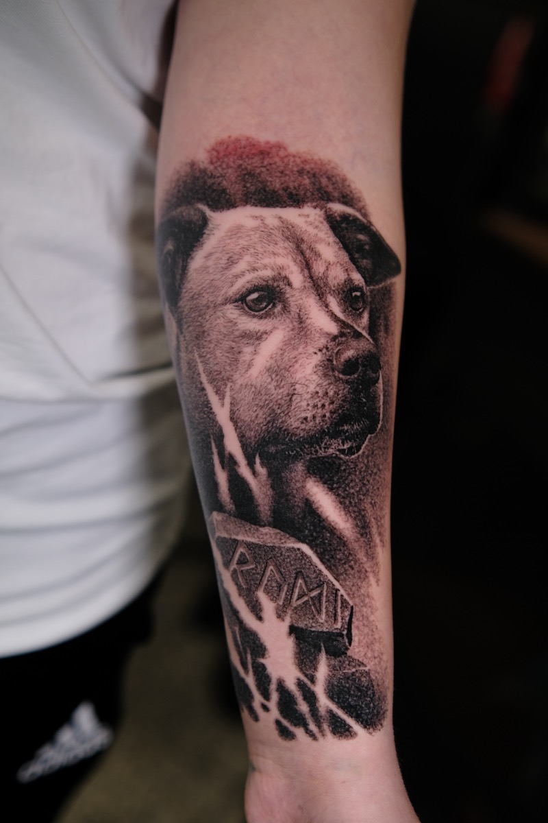 Hundeportrait-Tattoo am Unterarm: Hund mit ruhigem Blick über einem Schild mit Schriftzug, dezenter roter Akzent im Hintergrund