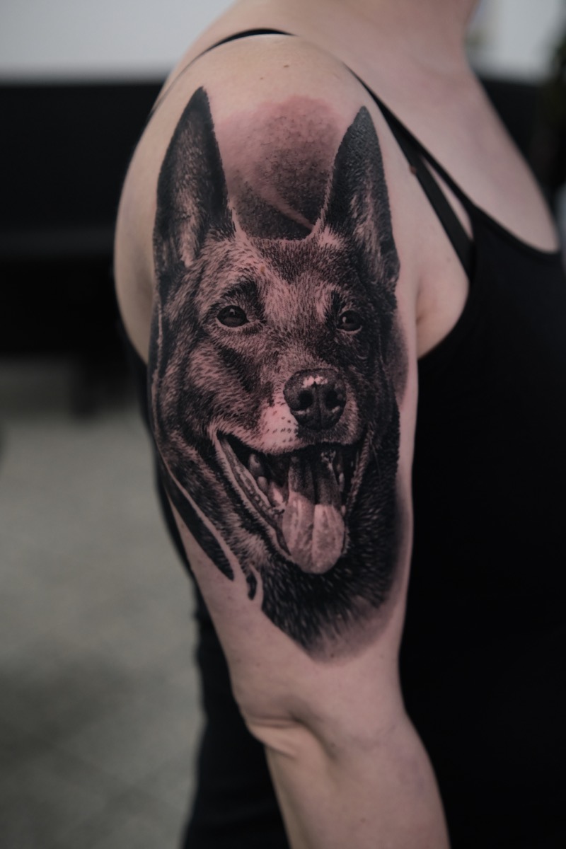 Tierportrait-Tattoo in Black & Grey am Oberarm: Hund mit aufgestellten Ohren und offenem Maul, detaillierte Fellstruktur