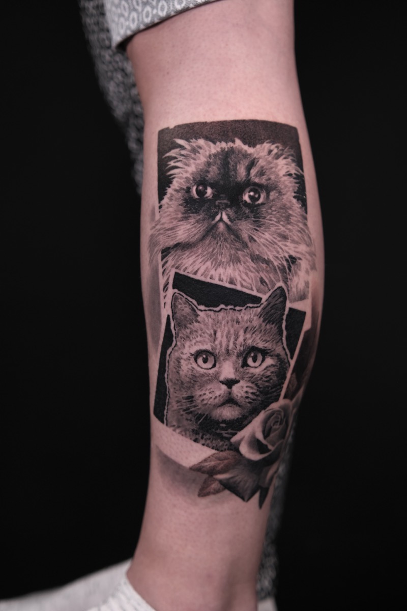 Tierportrait-Tattoo an der Wade: zwei Katzen, eine langhaarige und eine kurzhaarige, in Fotorahmen-Optik mit Rose